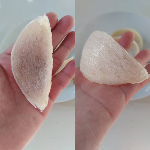 PREMIUM 4A BIRD'S NEST 高品质4A燕盏